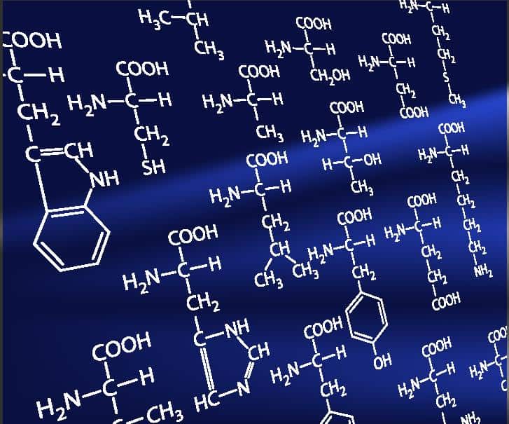 Amino Acids are the building blocks of life, this photo shows their protein structures. Restoring Amino Acids may greatly aid the rehab process by helping the body heal