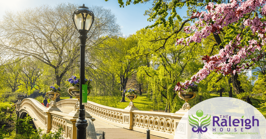Bow Bridge in Central Park in New York City on a sunny spring day.