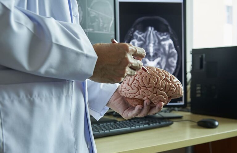 A doctor reviewing brain scans and looking at the brain anatomy while researching addiction.