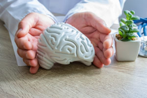 A doctor holding a model of the human brain.