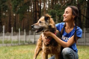 A woman volunteering at an animal shelter.