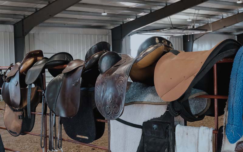 Set of several leather saddles