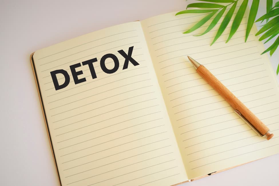 Open journal with word “Detox” on table with pen and plant.