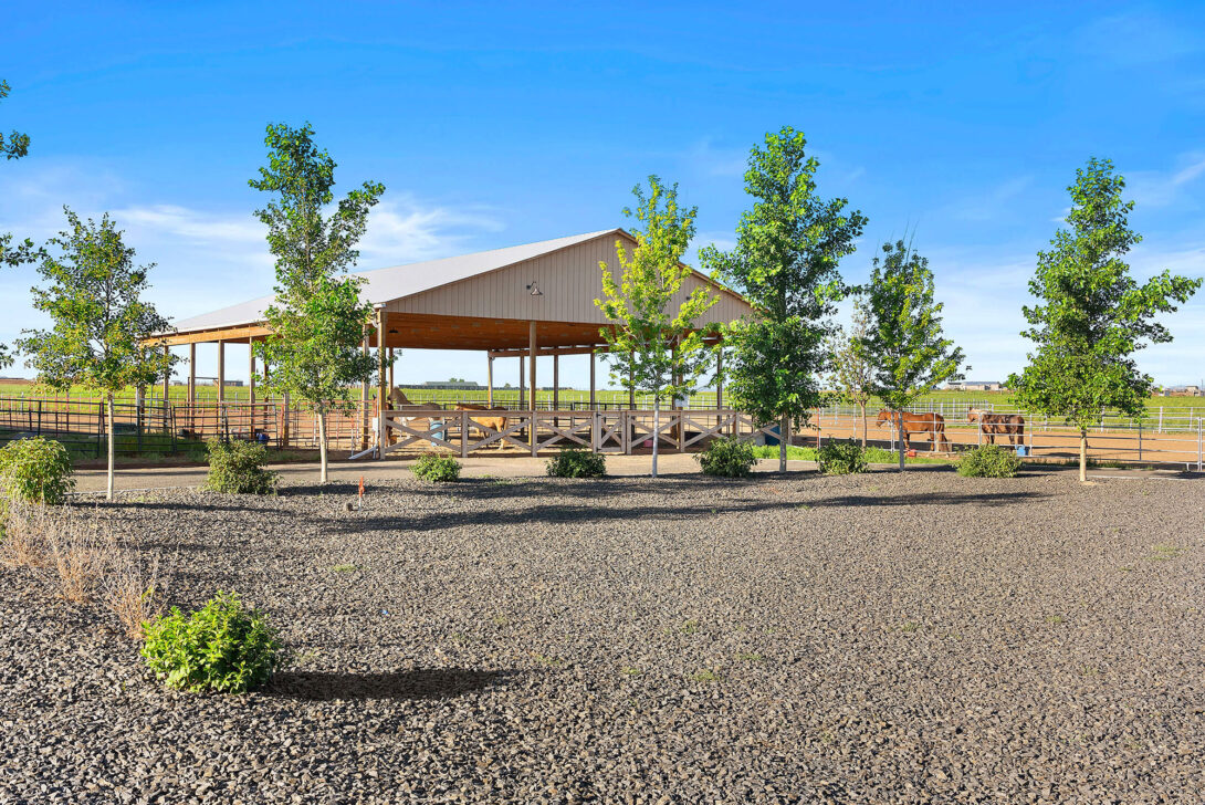 Outside view of the Raleigh House horse paddock