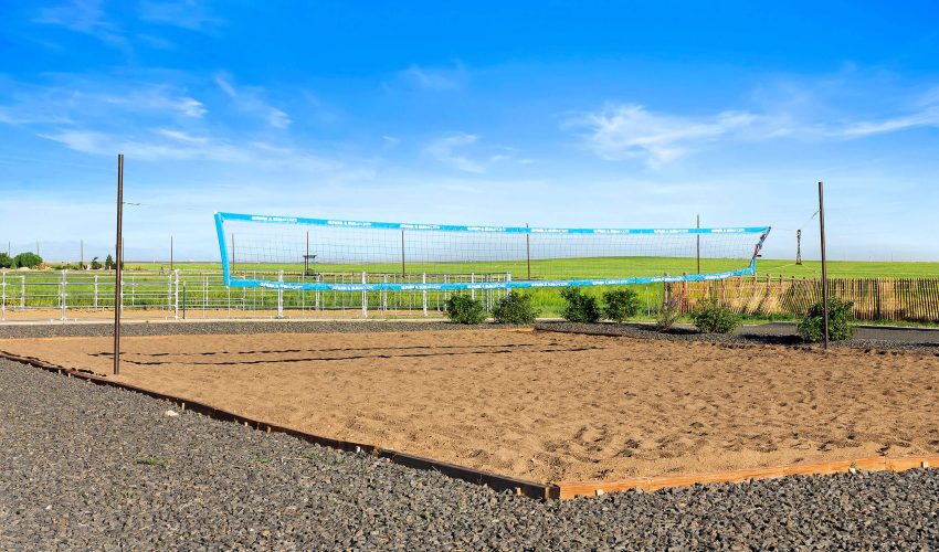 RaleighHouseRanch22-39 View of the volleyball court